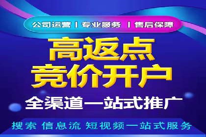 SEM专员实战案例解析